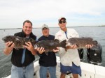 Norwalk Blackfish Norwalk Blackfish