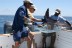 Striped Marlin