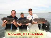 Norwalk-Blackfsh