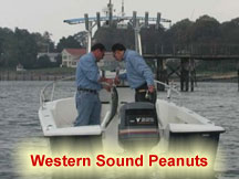 WS-Peanuts