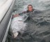Capt Andy LoCascio with a 108inch 900lb giant tuna saying goodbye just prior to release