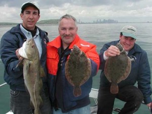 Boston Harbor Flounder