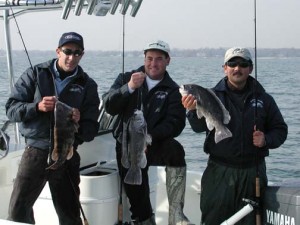 Stamford Connecticut Blackfish