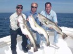 Georges Bank Cod - 2004 Georges Bank Cod - 2004