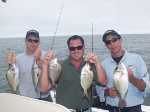 Gardiners Island Porgies