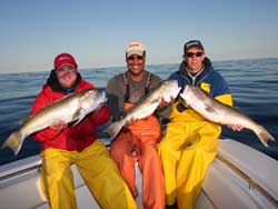 Hudson Canyon, NY - Tilefish - 2008