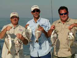 Huntington, NY - Porgies - 2008 Huntington, NY - Porgies - 2008