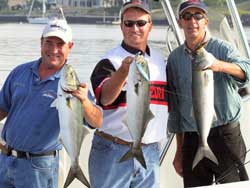 Norwalk, CT - Topwater Bluefish - 2005 Norwalk, CT - Topwater Bluefish - 2005