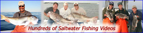 Saltwater Fishing Videos