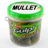 Gulp Alive