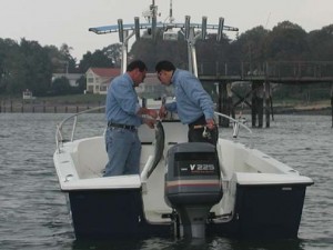 Western Sound Striped Bass on Peanut Bunker