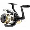 Striped Bass Reel
