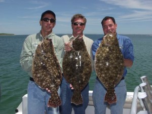 Vineyard Sound Fluke - 2004
