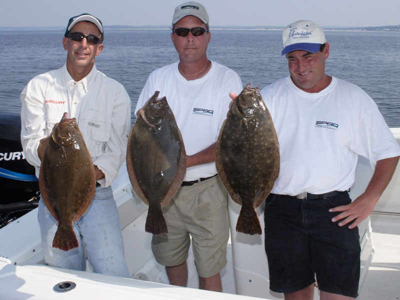 Fluke Fishing