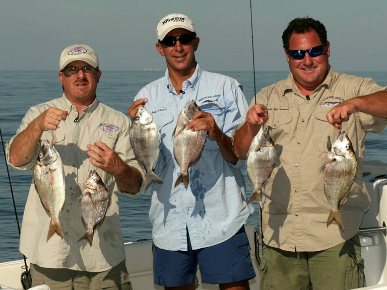 How big is a JUMBO Porgy???