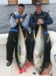 Yellowfin Tuna