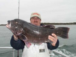Capt John Marino w/big Blackfish