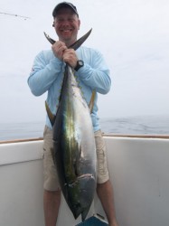 Yellowfin Tuna