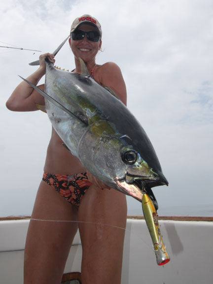 Video: Spinning Rod Bluefin on the New Shimano Stella SW - On The