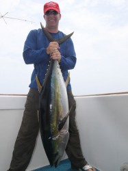 Yellowfin Tuna