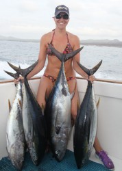 Choosing your reel for bluefin tuna fishing, 5 models tested