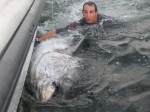 Giant Bluefin Tuna - Prince Edward Island
