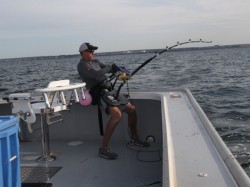 Giant Bluefin Tuna - Capt Andy