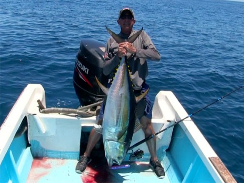 Yellowfin Tuna