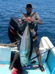 andy-yellowfin-popper