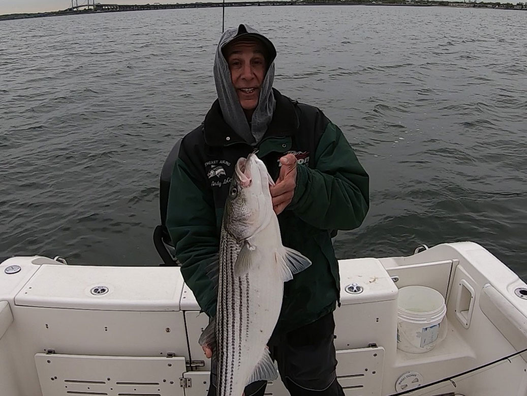 New York Fishing Reports, Spots & Video