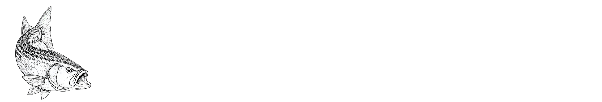 Northeast Angling