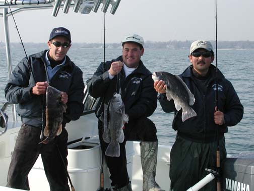 Stamford CT Blackfish Fishing (Tautog)