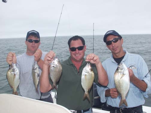 Porgy Fishing