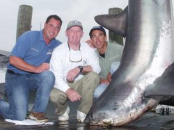 New England Sharks (part 1 & 2) - 2004